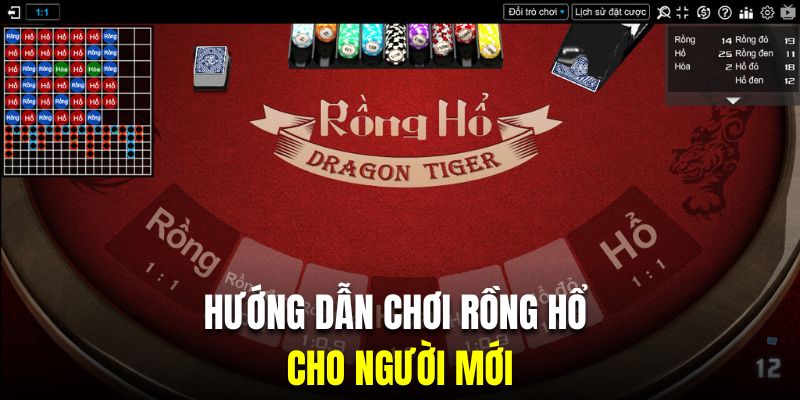 Hướng dẫn chơi rồng hổ chuẩn xác cho người mới